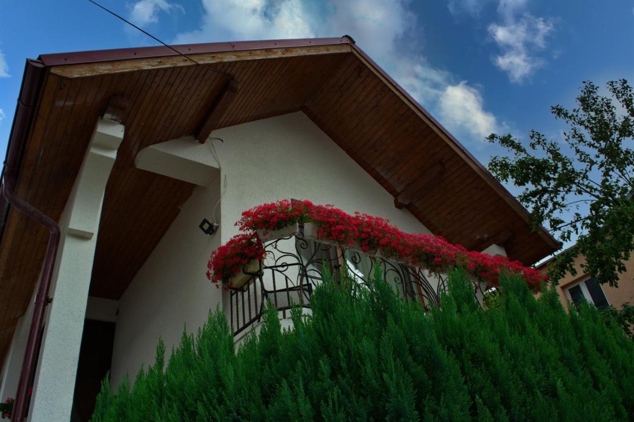 Casa Ade Villa Ocna Sugatag Exterior photo